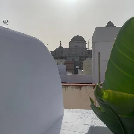 公寓 Hidden Gem Penthouse Populo Y Catedral *